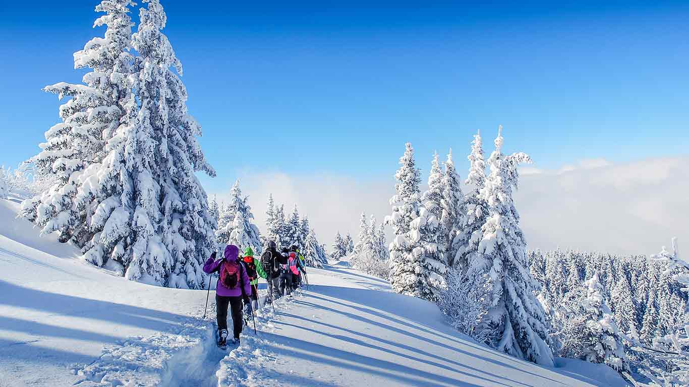 Gruppe von Schneeschuhwandern, Rückansicht.