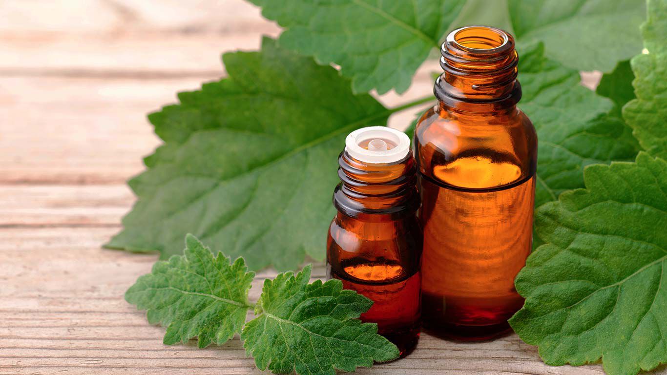 Patchouli-Pflanze, daneben zwei braune Flaschen mit Patchouli-Öl.