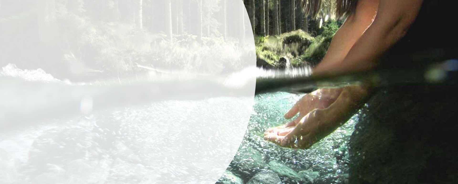 H&auml;nde tauchen unter Wasser.