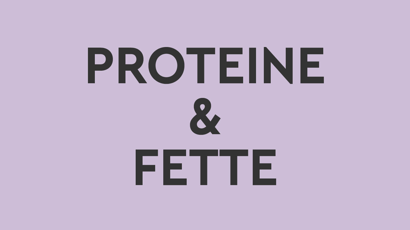 Text auf Farbfläche: Proteine & Fette