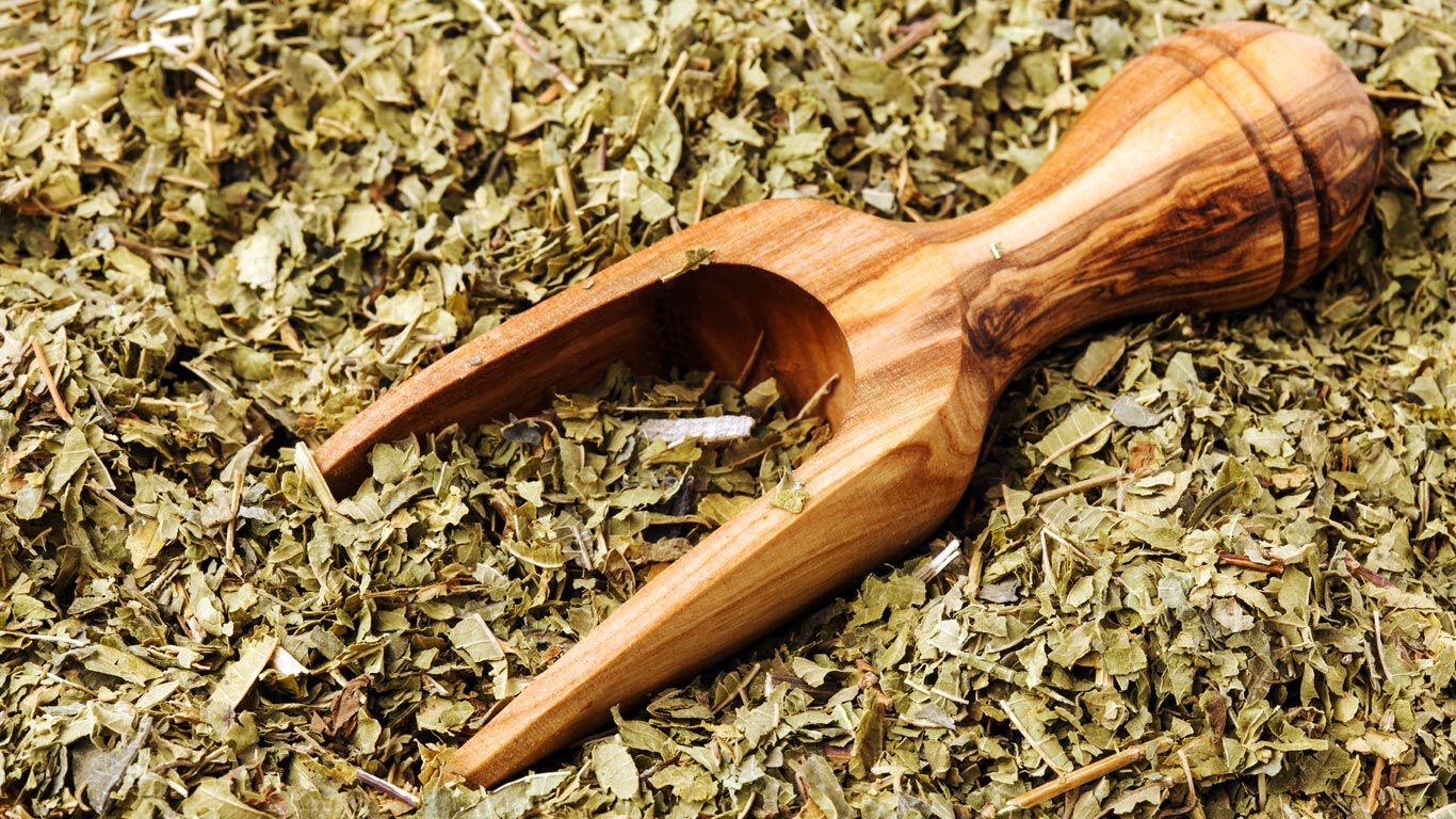 loser Tee aus Zitronenverbene mit Holzlöffel