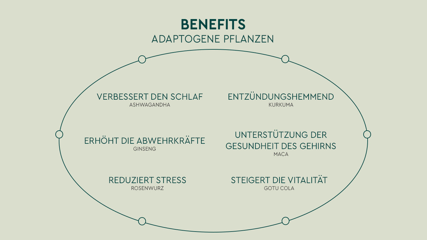 Infografik über die Benefits von Adaptogenen Pflanzen.