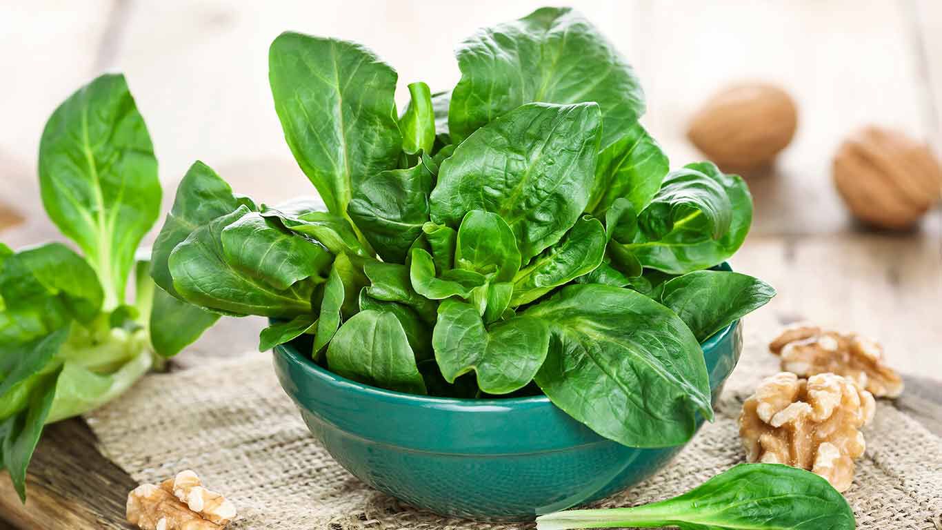 Feldsalat in einer kleinen, gr&uuml;nen Salatsch&uuml;ssel.