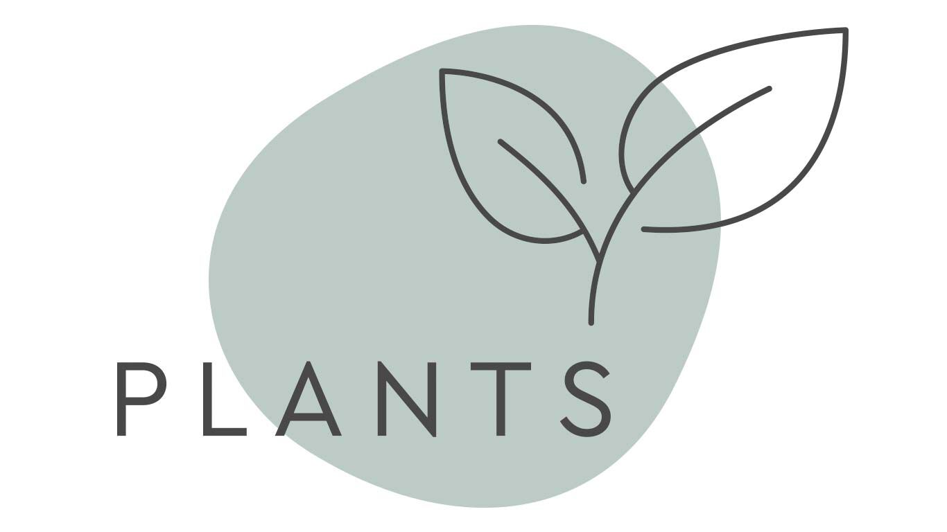 One of Kneipp's 5 pillars: plants