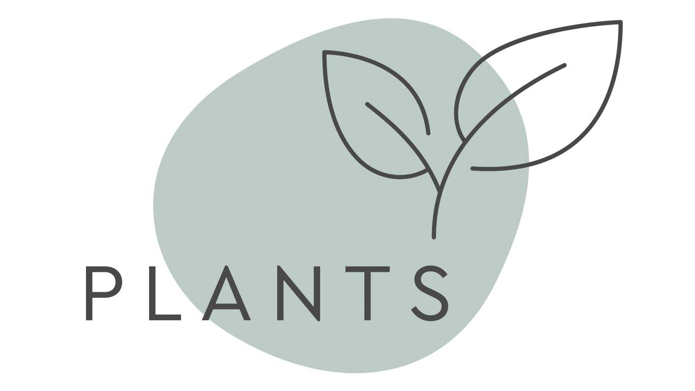 One of Kneipp's 5 pillars: plants Illustration of Kneipp pillar: plants.