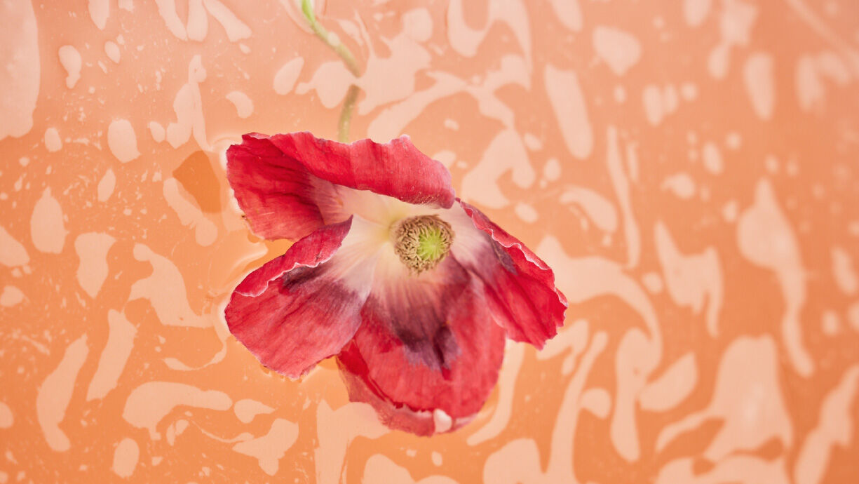 kneipp-website-banner-by-collection-pure-bliss-red-poppy-and-hemp