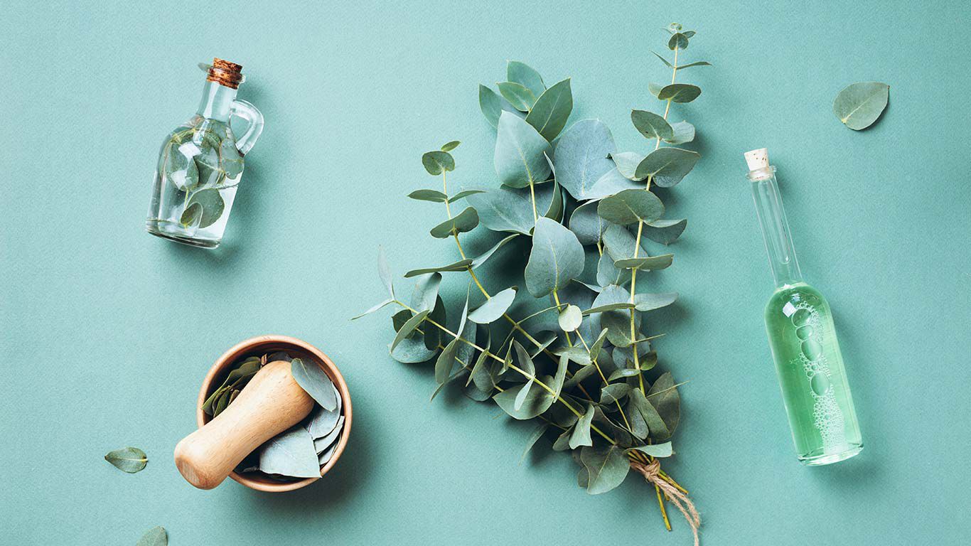 Flatlay von Eukalyptus auf türkise Hintergrund.