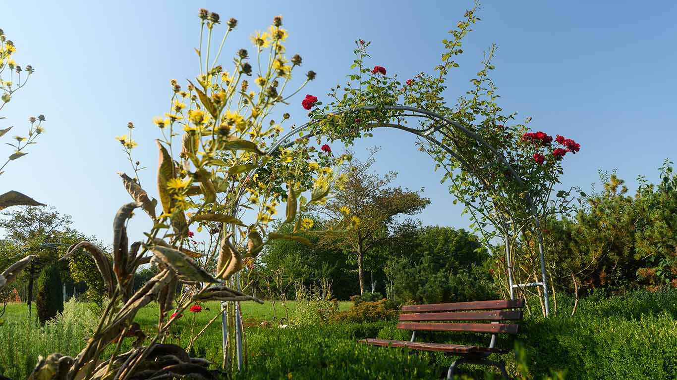 Holzbank inmitten eines Gartens.