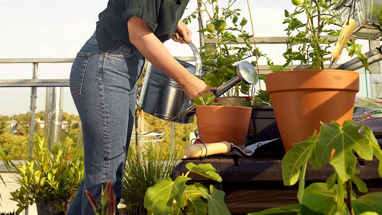 Frau gießt Blumen auf ihrem Balkon. 