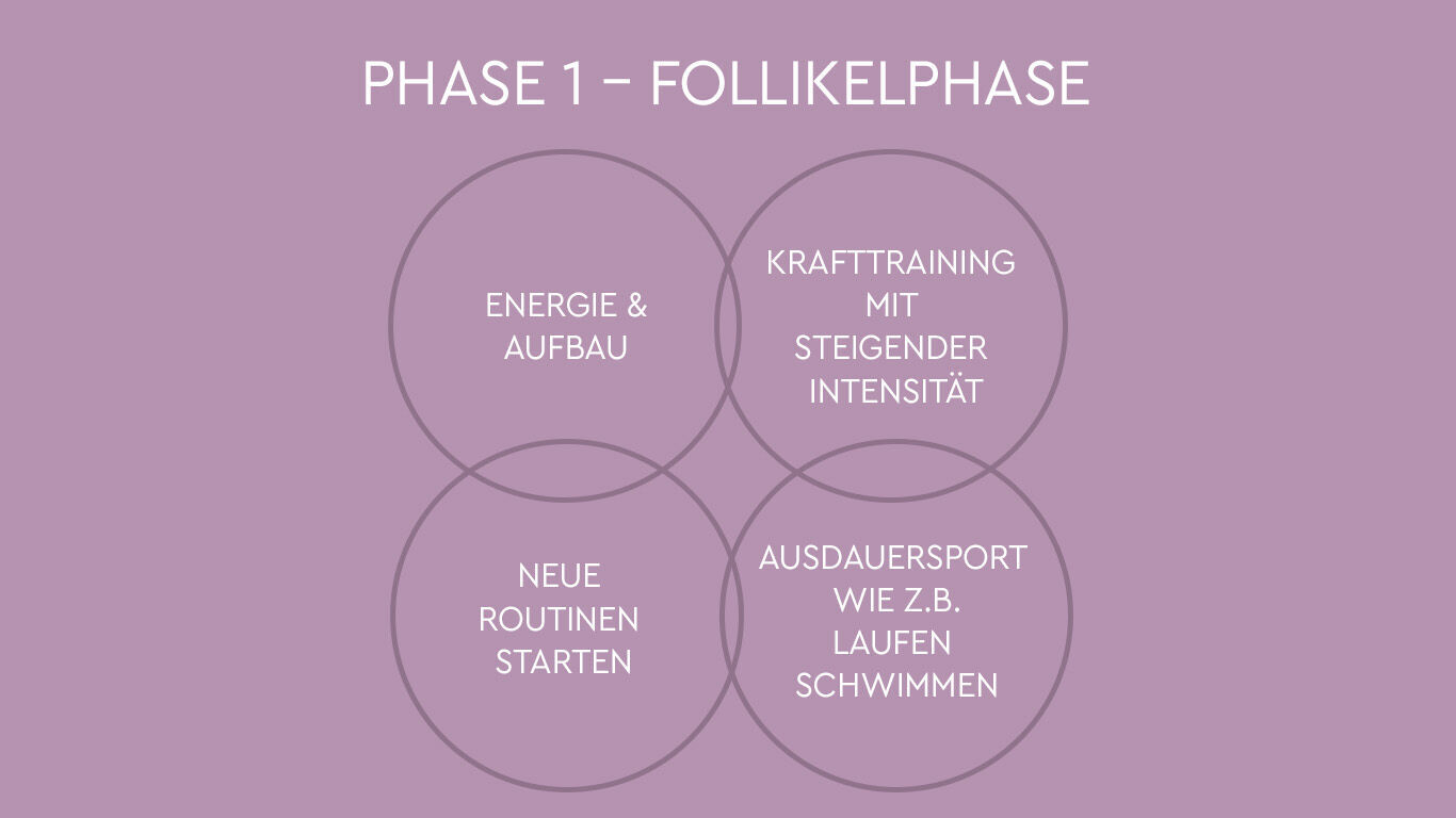 Illustration: Follikelphase im zyklusbasierten Training: Energieaufbau, Krafttraining mit steigender Intensit&auml;t und neue Routinen starten