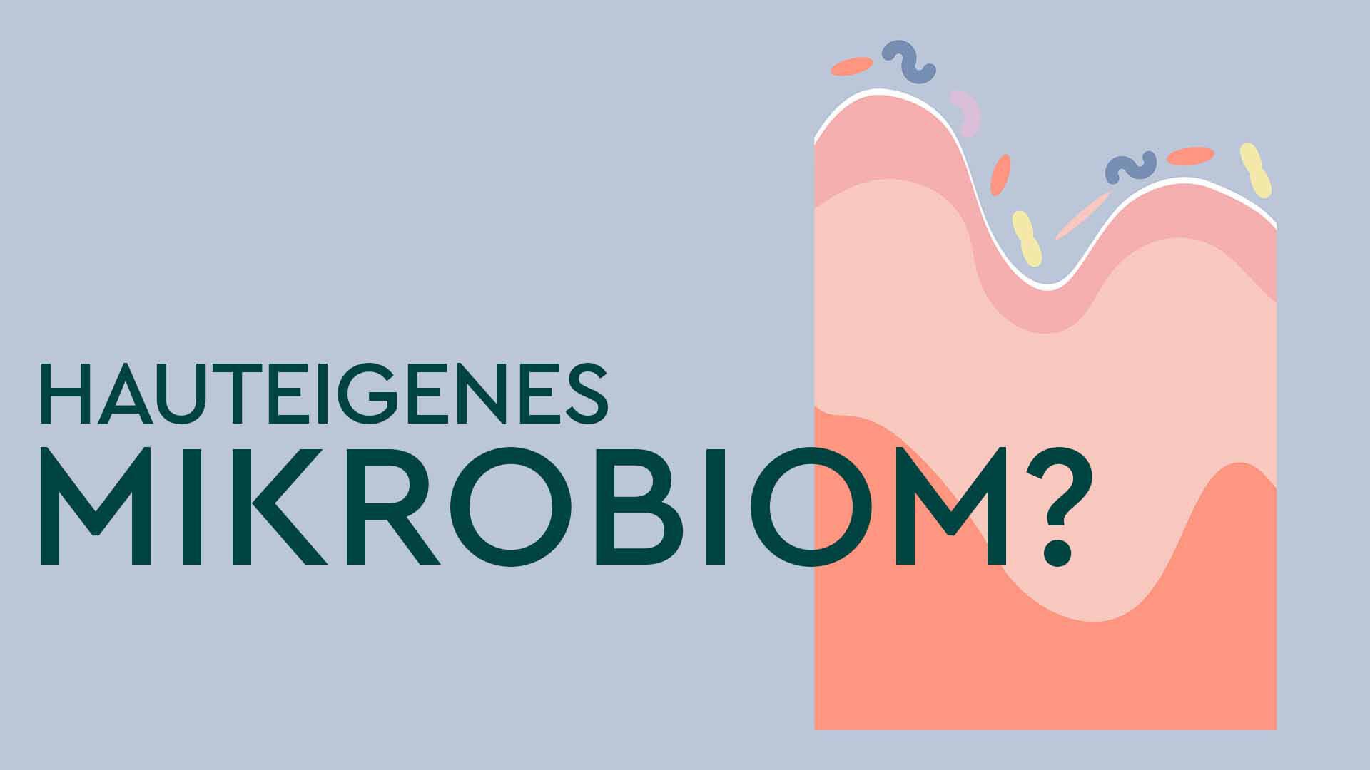 Titelbild einer Galerie mit Fakten zum Hautmikrobiom