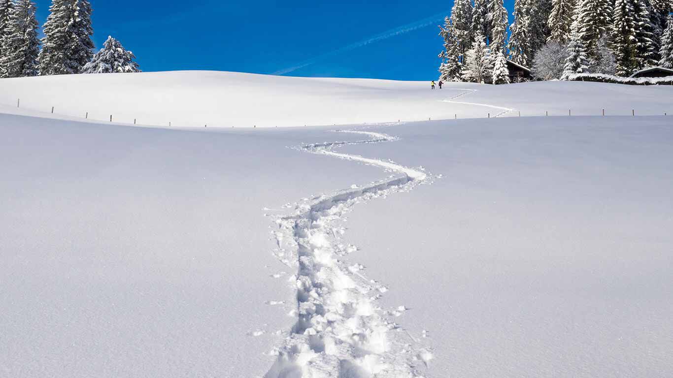 Abdrücke von Schneeschuhen im tiefen Schnee.