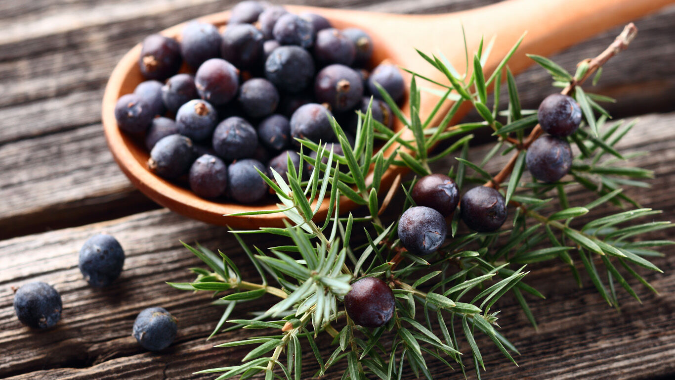 The juniper helps with joint problems