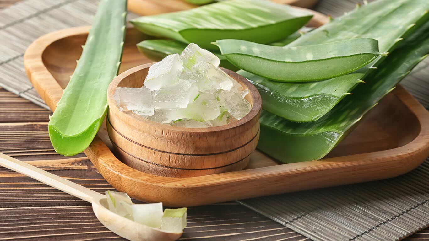 Das dickflüssige Gel der Aloe-Blätter bildet auf der Haut eine feuchtigkeitsspendende, schützende Schicht.