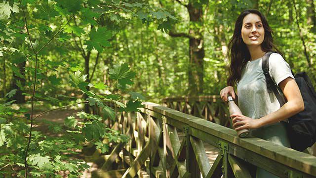 Ein Spaziergang im Wald ist gesund