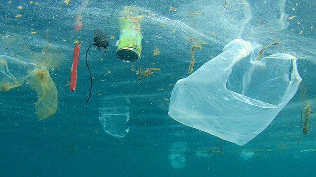 Vue sous-marine : les déchets plastiques flottent dans la mer