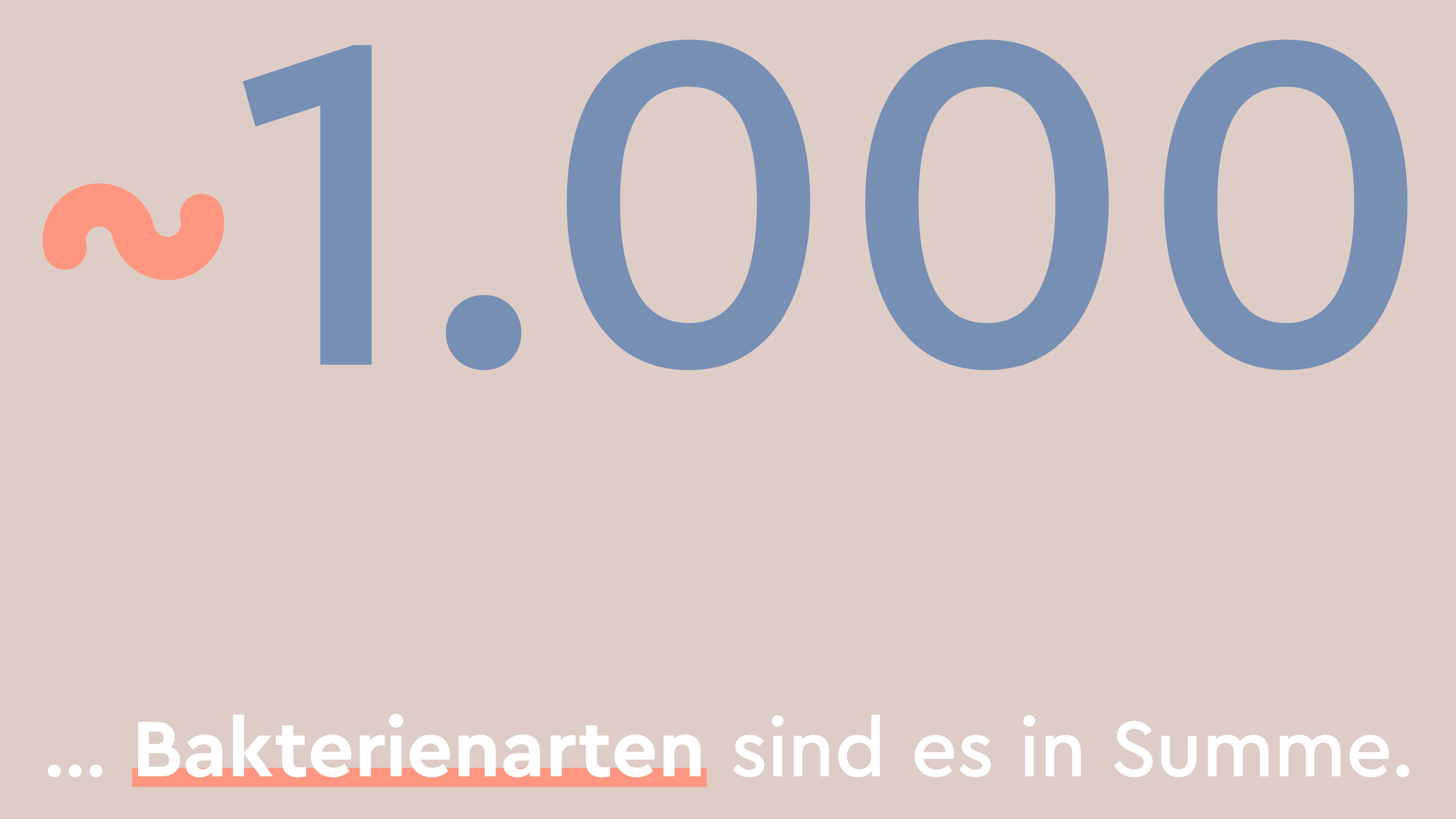 Unser Hautmikrobiom beherbergt 1.000 Bakterienarten.