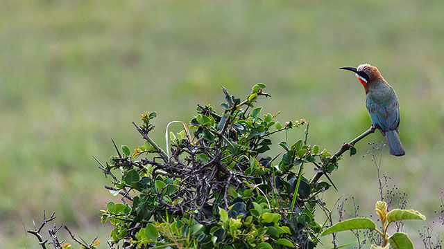 Projet de protection de la nature avec le WWF