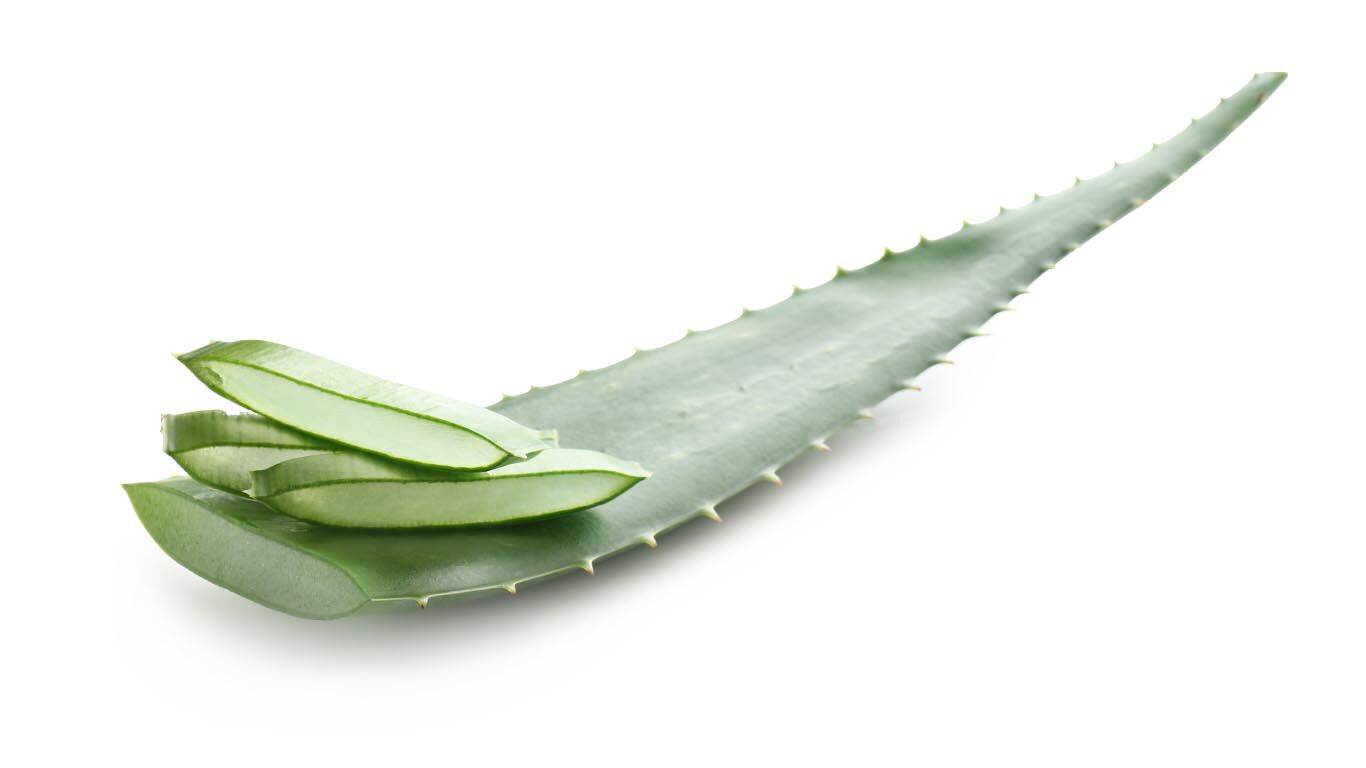 Aloe