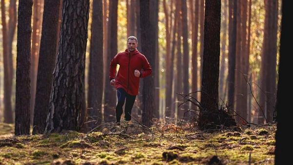 Un homme en tenue d'entraînement fait son jogging dans une forêt en automne.