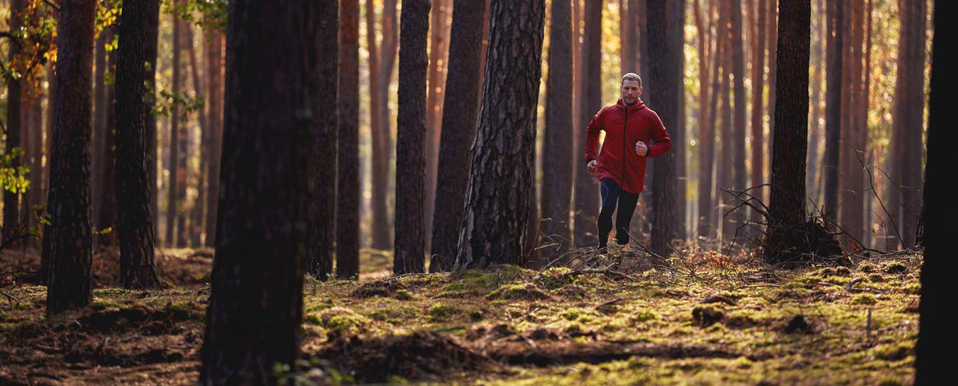 Un homme en tenue de sport fait son jogging dans la forêt.