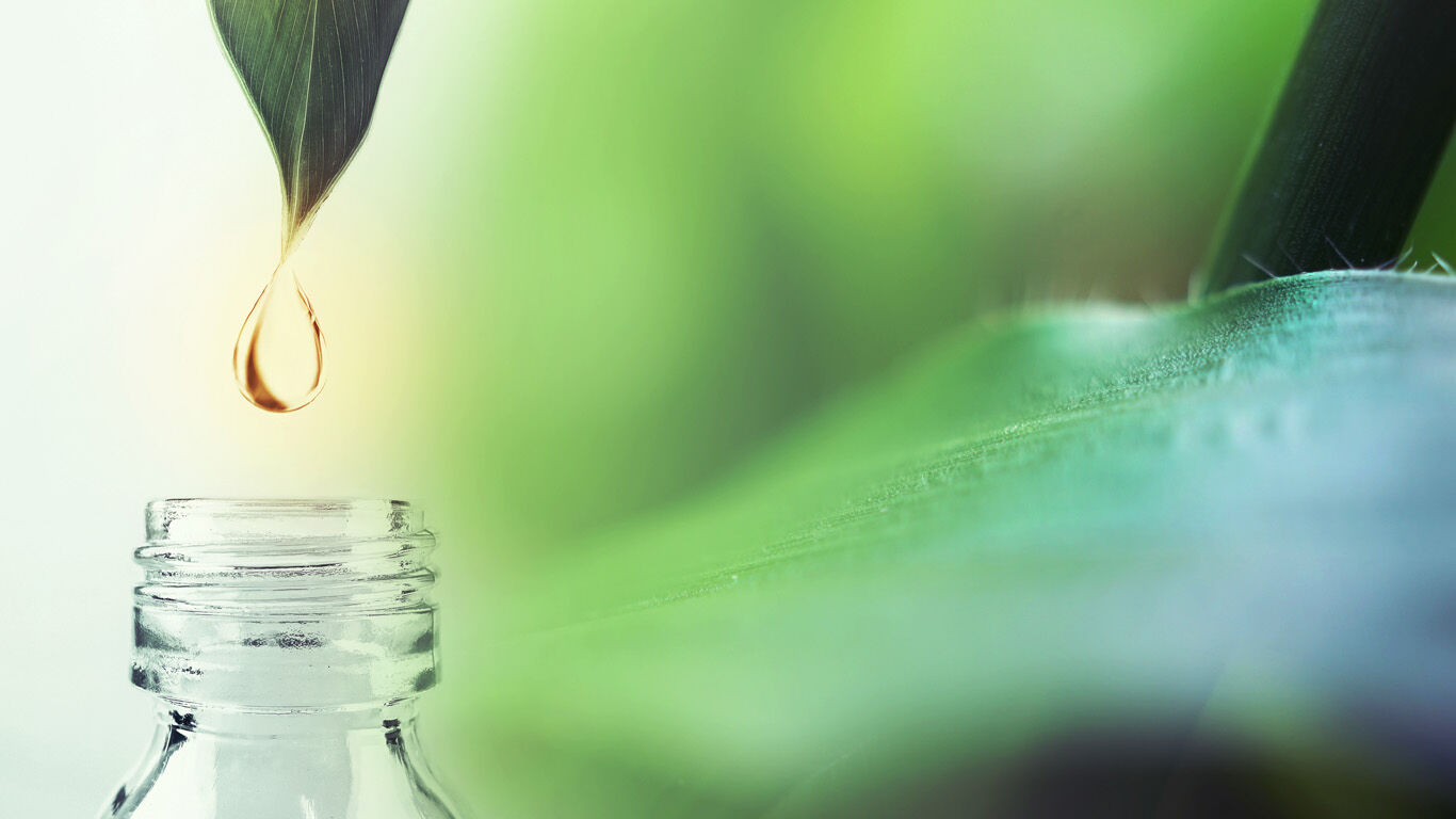 De l'huile s'égoutte d'une feuille dans un verre.