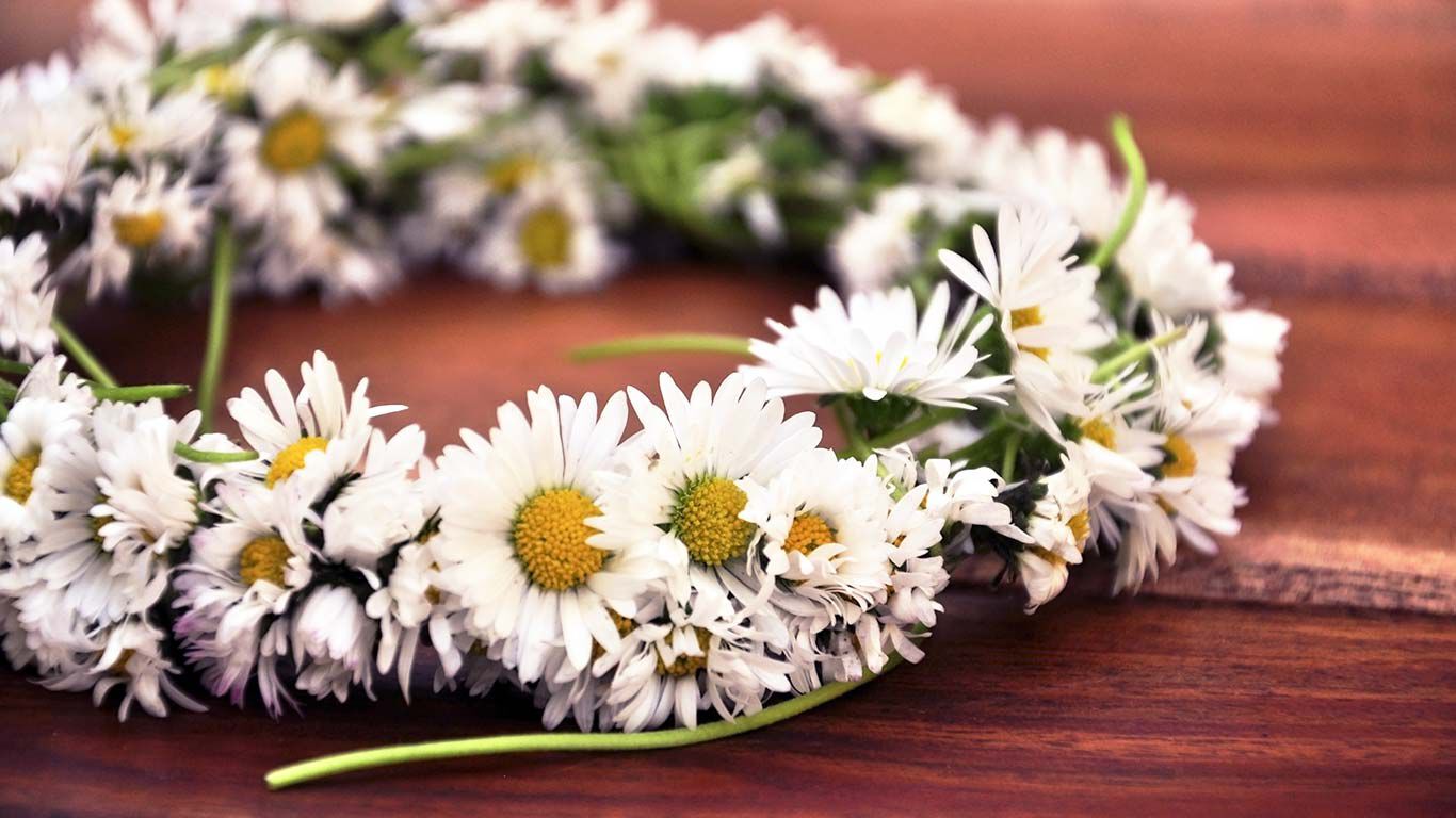 Gros plan sur une couronne de fleurs de pâquerettes couchée sur une table en bois. 