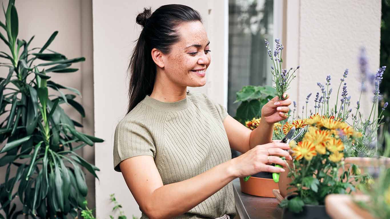 Femme souriante coupant de la lavande sur son balcon