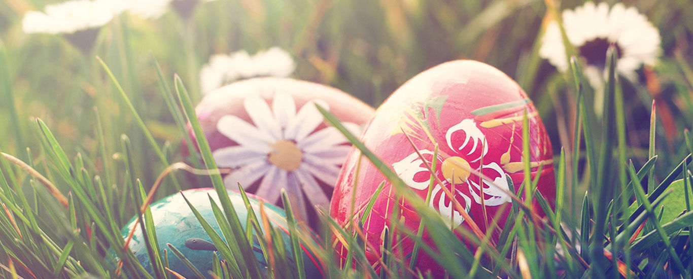Des &oelig;ufs de P&acirc;ques color&eacute;s dans l'herbe