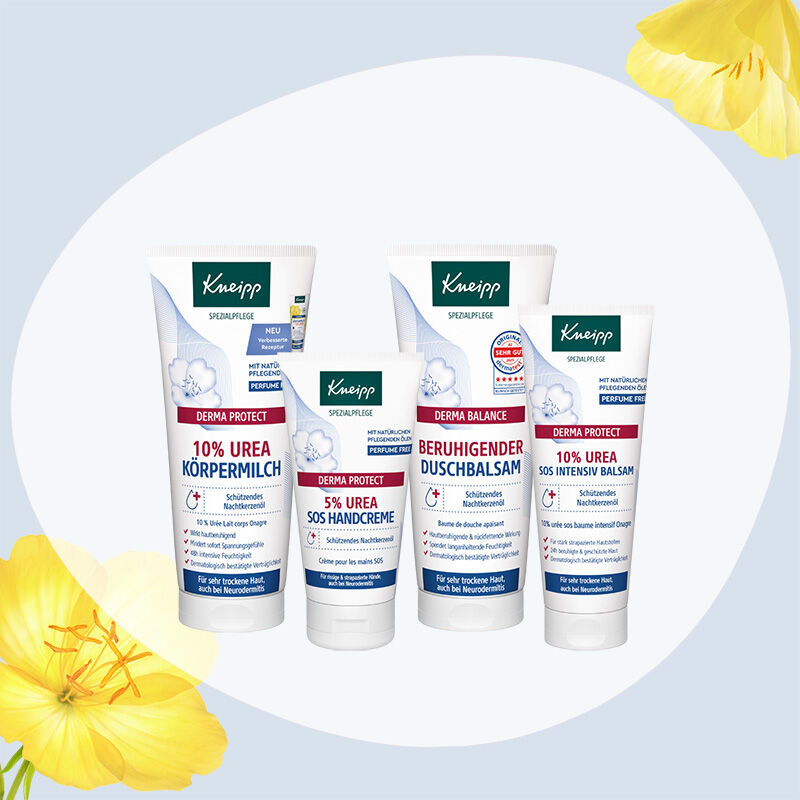 Illustration de quelques produits de la gamme Onagre
