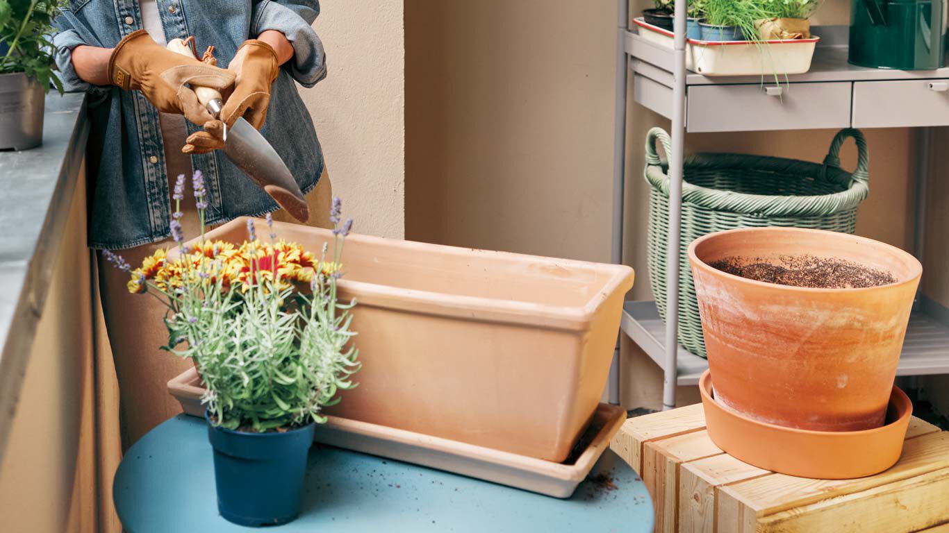 Femme plantant un jardin en conteneurs.