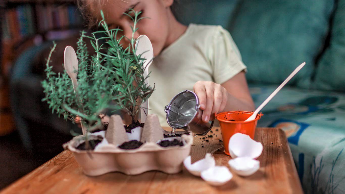 Pflanzen werden von einem Kind in einer alten Eierverpackung gepflanzt 