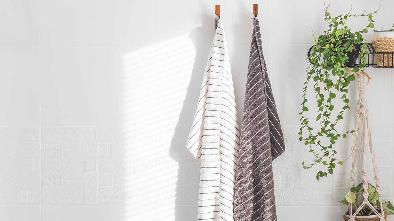 Deux serviettes sont accrochées à des crochets dans la salle de bain. 