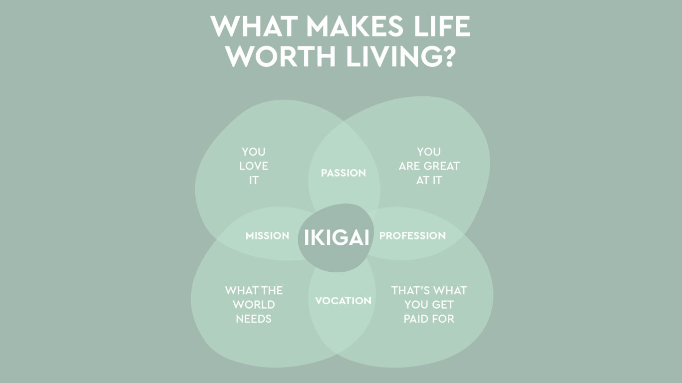 Représentation visuelle du modèle Ikigai.