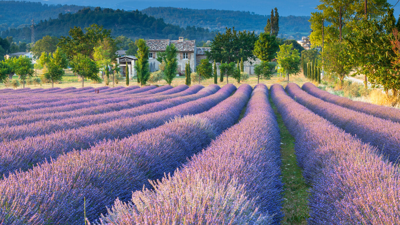 Kneipp Levandule - oblast Provence