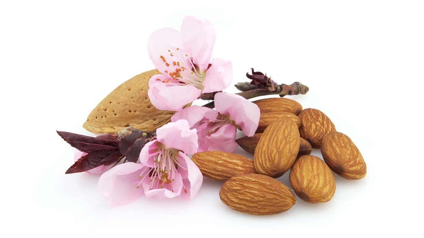 Almendra en flor y almendra en grano