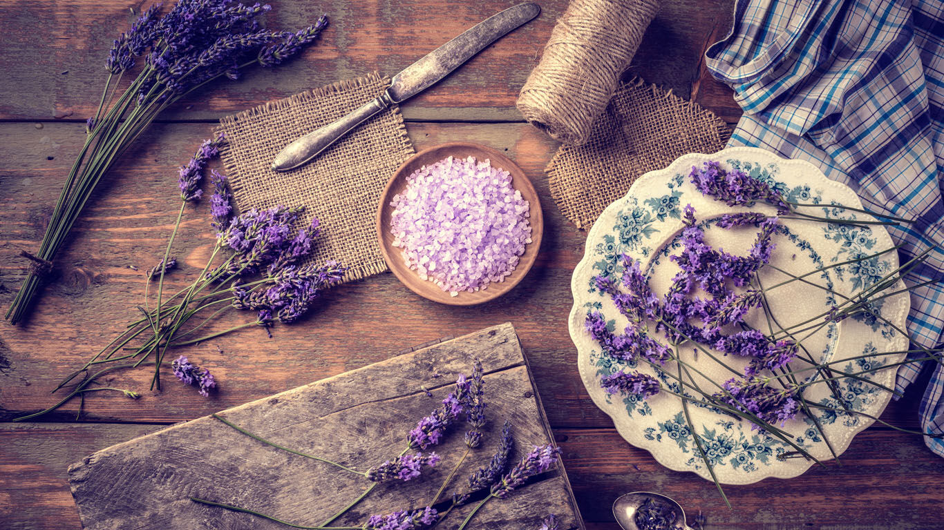 Diccionario de Plantas Kneipp Lavanda Calma los Nervios