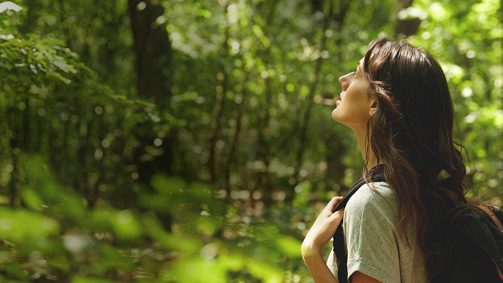 Goodbye stress par une promenade