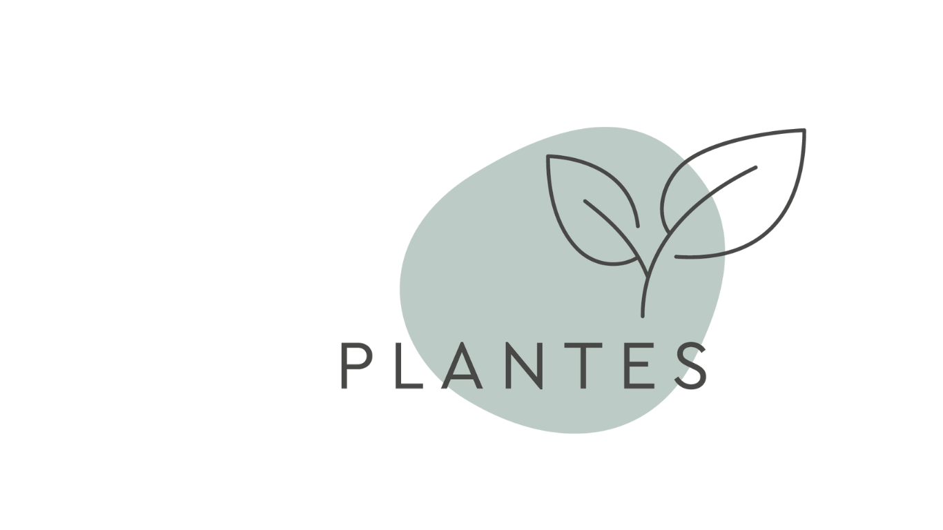 Icône de la philosophie des 5 piliers de Kneipp : les plantes