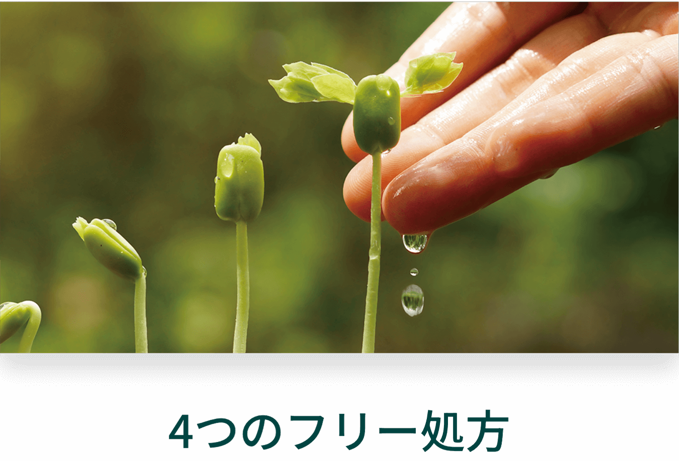 4つのフリー処方