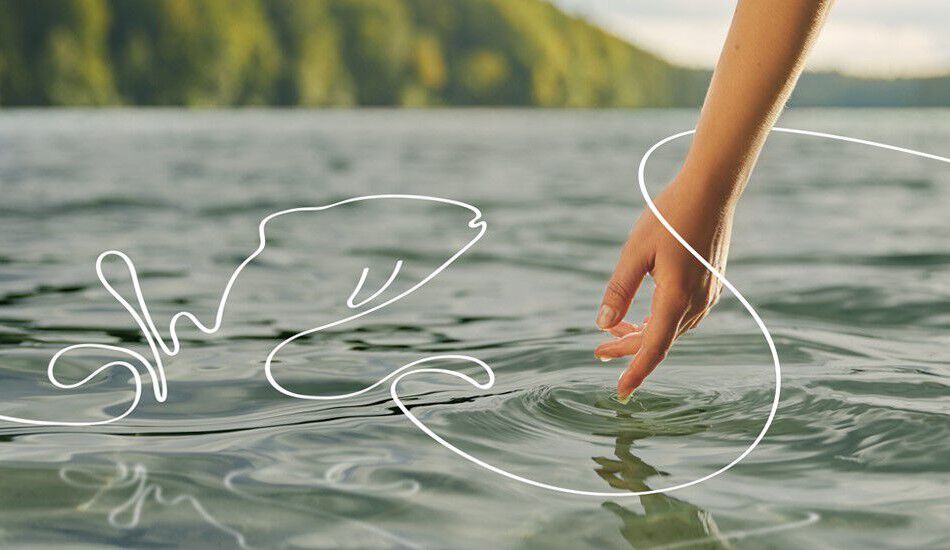 手が水に触れ、そこから魚のイラストが飛び出す