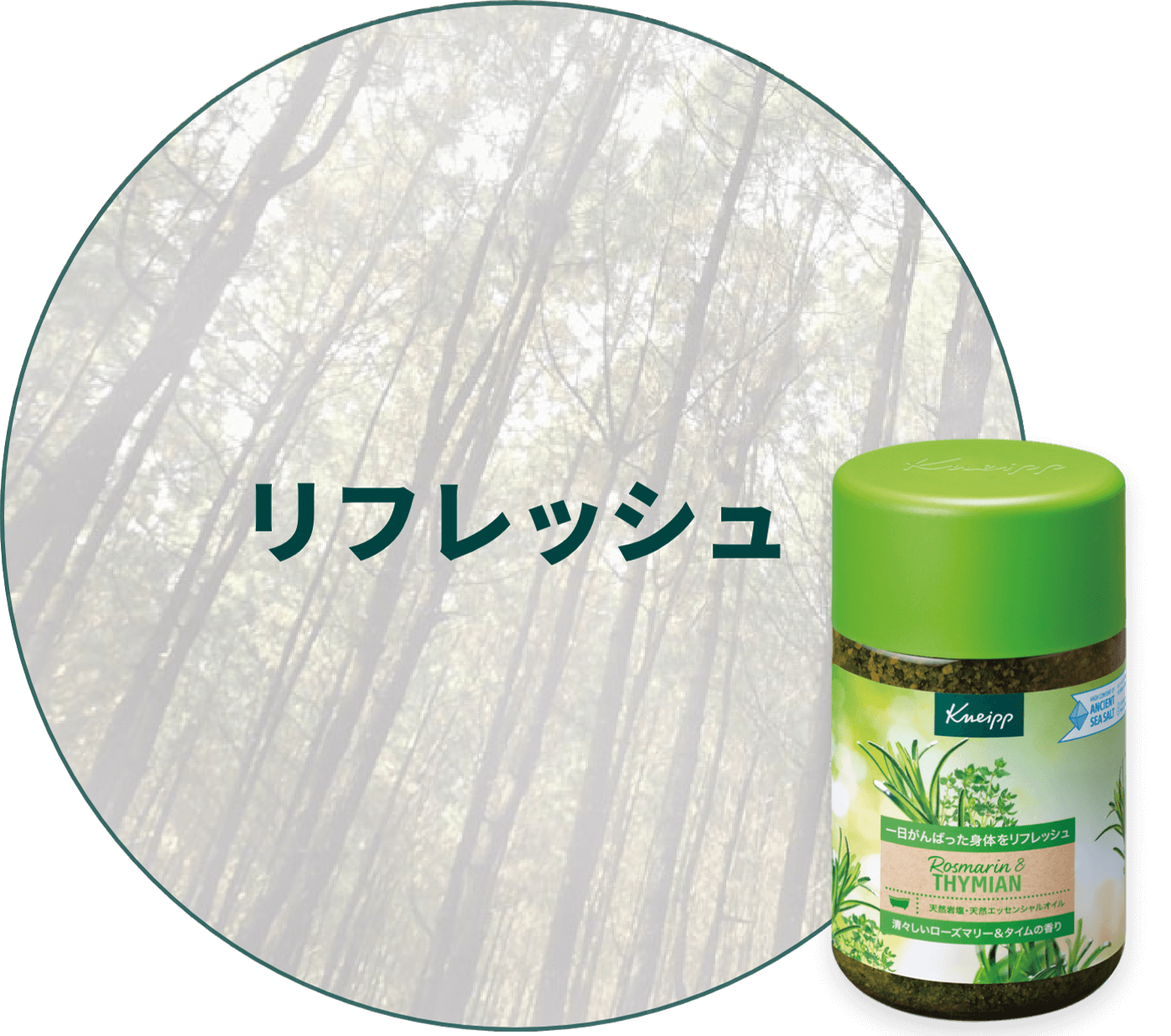 リフレッシュ