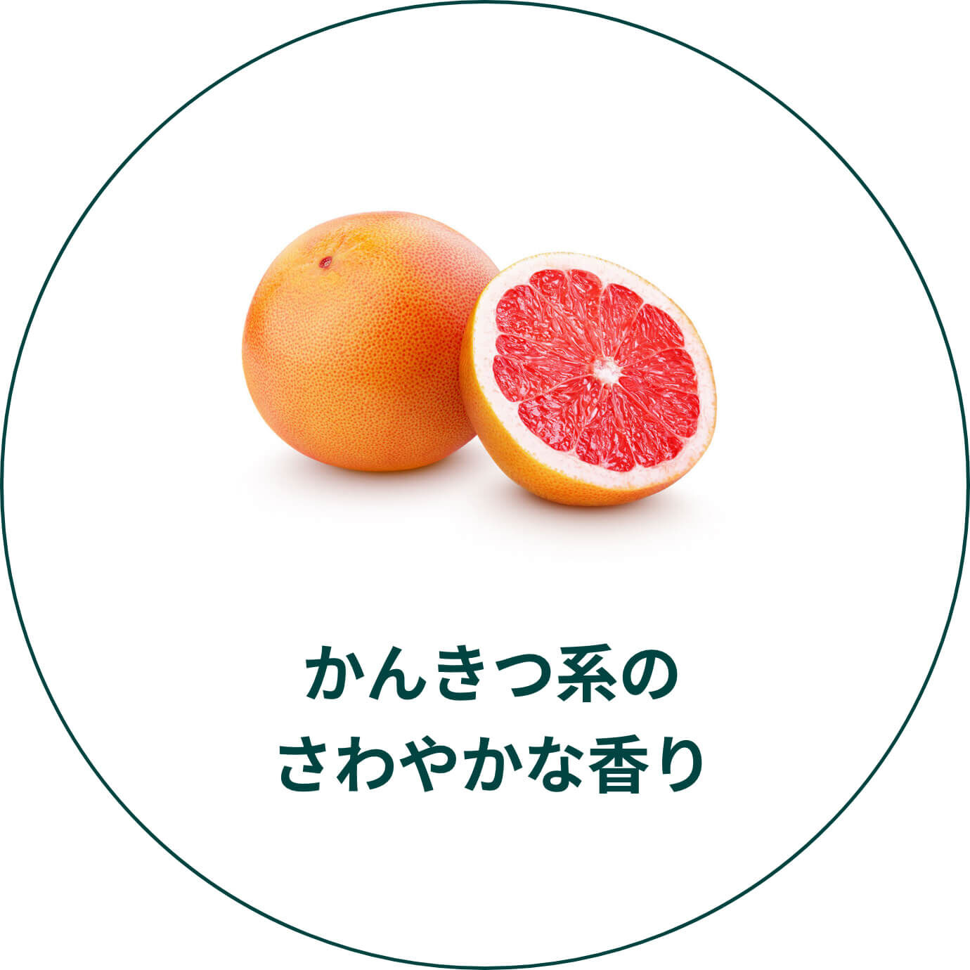 かんきつ系のさわやかな香り