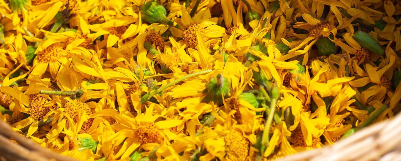 木製のバスケットに収められた黄色い花の頭部のクローズアップ。