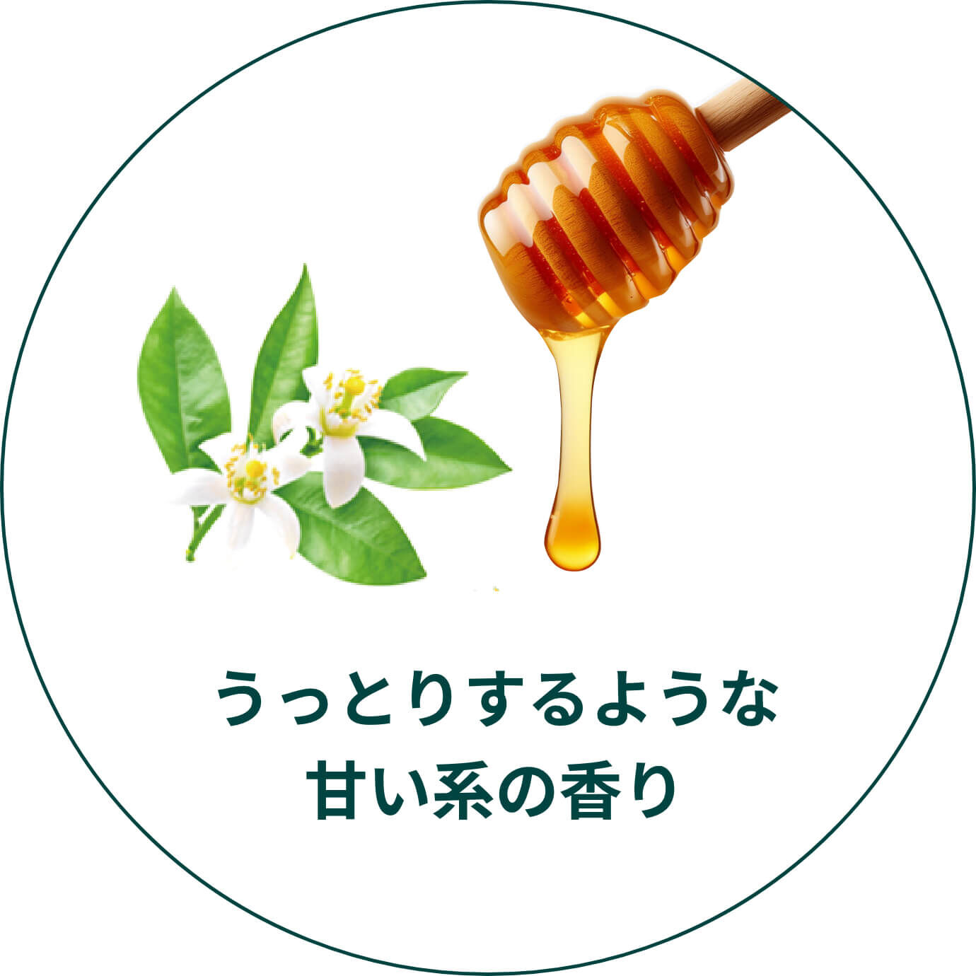 うっとりするような甘い系の香り