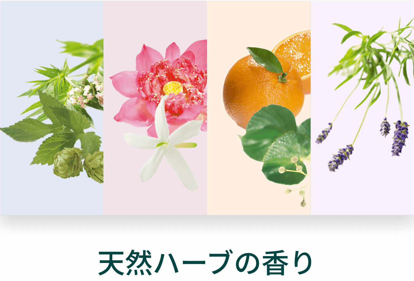 天然ハーブの香り
