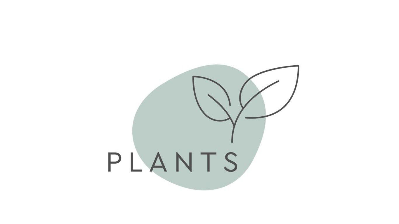 クナイプの5本柱の哲学を象徴するもの、それは「植物」です。