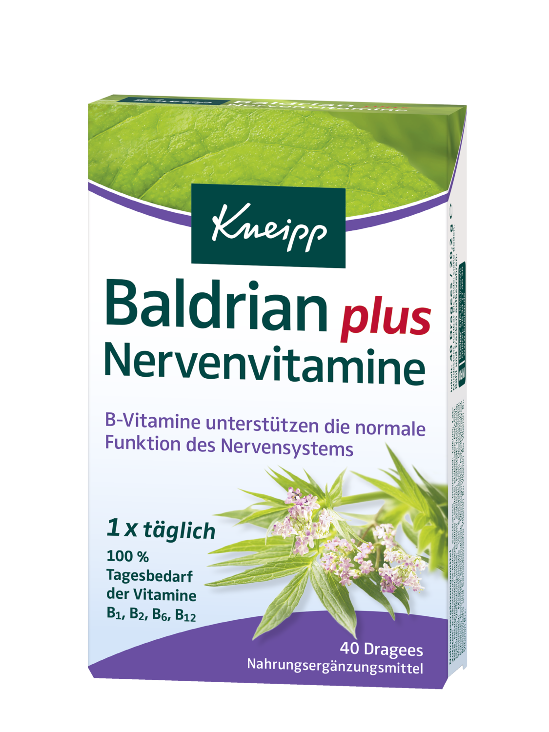 Kozl&iacute;k Plus - Pohled zepředu