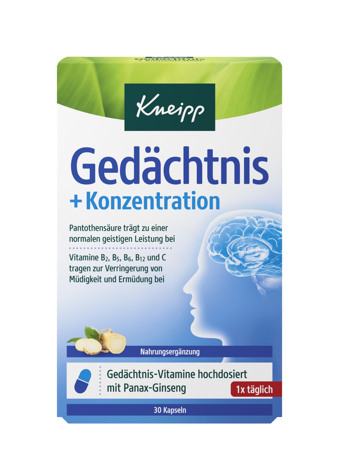 Ged&auml;chtnis + Konzentration - product.imageview.undefined