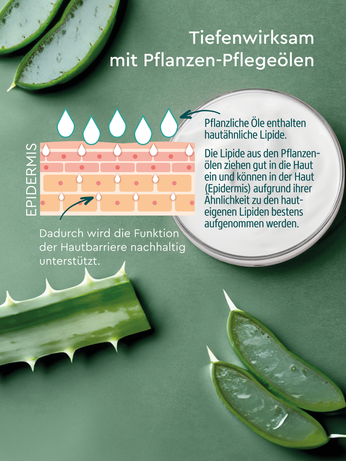 K&ouml;rperlotion Hydro - R&uuml;ckansicht